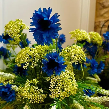 Casa Del Fiordaliso Gæstehus