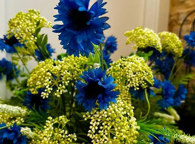 Casa Del Fiordaliso Penzion